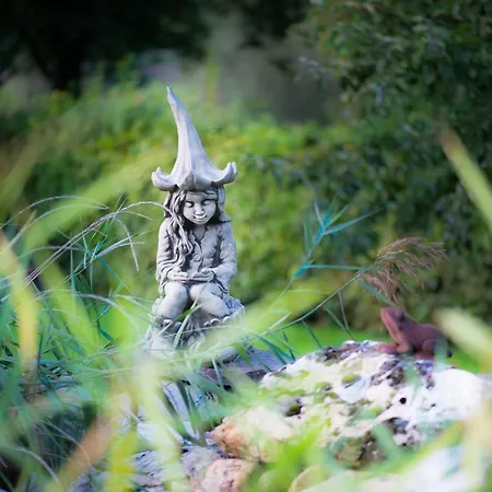 Apartment Gaestehaus Simonis *